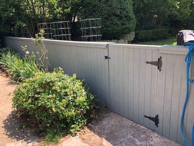 New backyard wood fence and paint.
